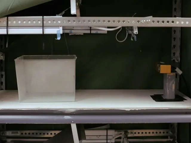 Using an Automated 3D-tracking System to Record Individual and Shoals of Adult Zebrafish