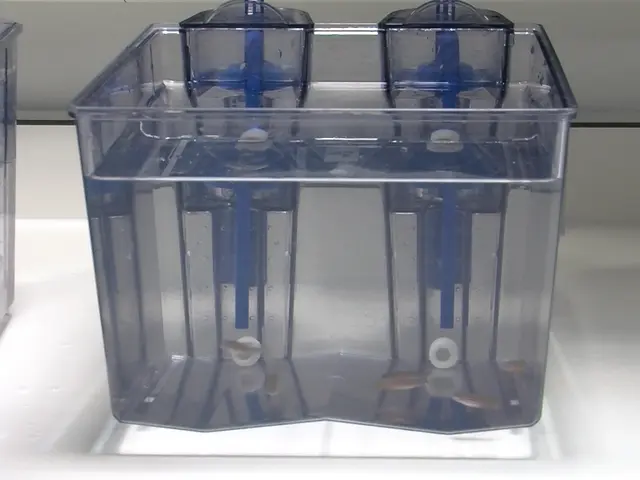 Environmental Screening of <em>Aeromonas hydrophila</em>, <em>Mycobacterium</em> spp., and <em>Pseudocapillaria tomentosa</em> in Zebrafish Systems
