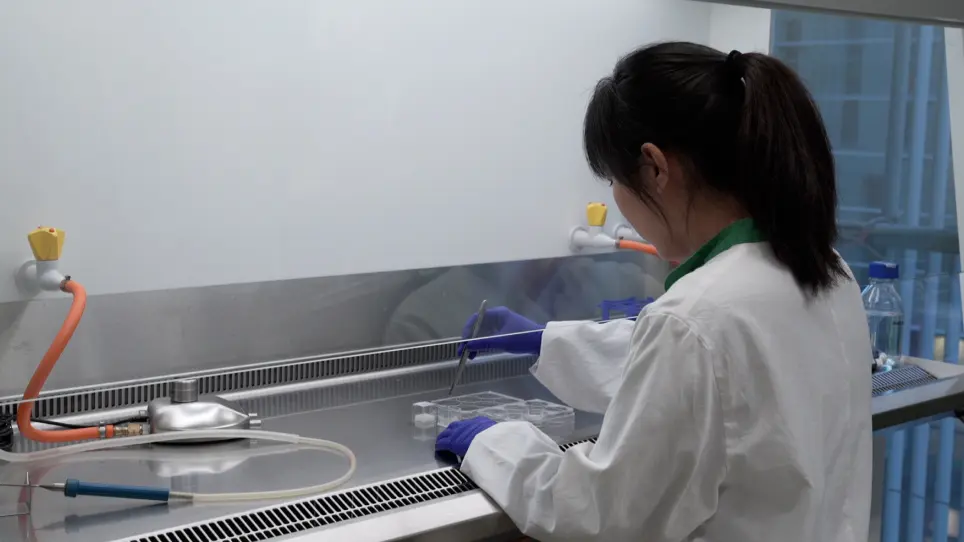 Studying TGF-β Signaling and TGF-β-induced Epithelial-to-mesenchymal Transition in Breast Cancer and Normal Cells