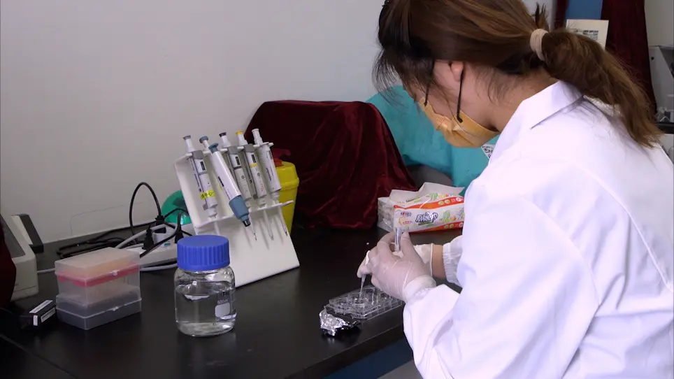 Demonstrating Hairy and Glabrous Skin Innervation in a 3D Pattern Using Multiple Fluorescent Staining and Tissue Clearing Approaches