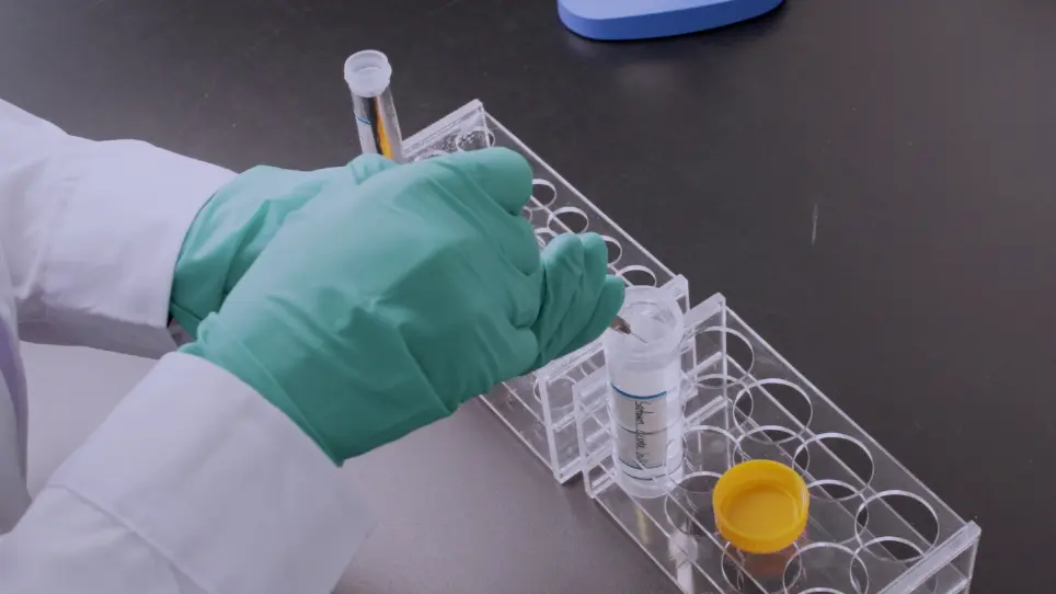A Protocol for Constructing a Rat Wound Model of Type 1 Diabetes