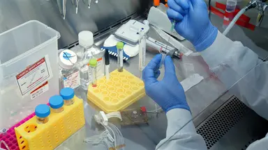 Mikrobioreaktor-basierte Produktion von ankerabhängigen mesenchymalen Stromzellen, die auf das akute Atemnotsyndrom vorbereitet sind