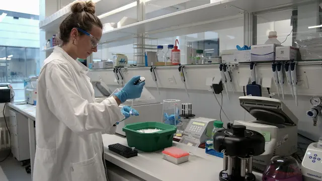 Präzise Phagenmutagenese mit NgTET-assistierten CRISPR-Cas-Systemen