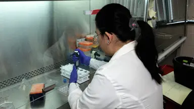 <em>In vitro</em> Resident Memory CD8 T-Zell-Differenzierung mit dem epithelialen Organoid-T-Zell-Kokultursystem