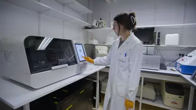 Ein serologischer Multiplex-Assay zum Nachweis von Antikörperantworten auf Arboviren