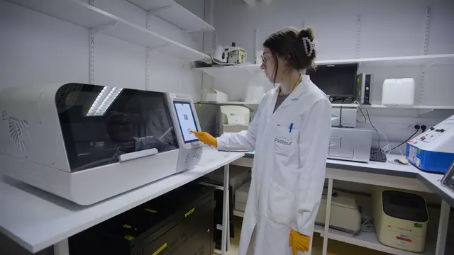 Ein serologischer Multiplex-Assay zum Nachweis von Antikörperantworten auf Arboviren