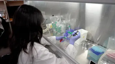 Optimized Quantitative Assessment of Enhancer RNA Stability in Mouse Embryonic Stem Cells