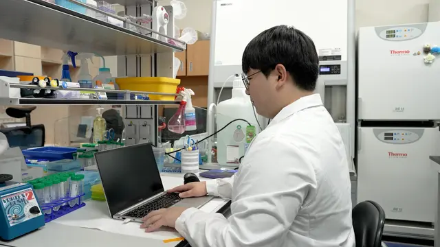Eine computergestützte Pipeline für die Quantifizierung intergener/intragener Enhancer-RNA in embryonalen Stammzellen der Maus
