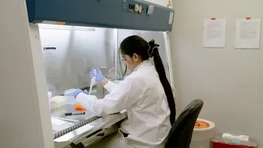 Isolation and Quantification of Axonal mRNAs Using Porous Membrane Inserts and RTddPCR
