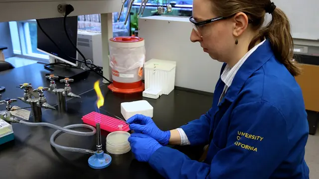 Langlesen-Plasmid-Sequenzierung und -Montage mit Workflows auf Basis von Nanoporensequenzierungen