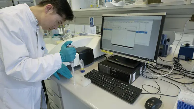 Synthese, Hämoglobinkapselung und biorthogonale PEGylation in hierarchisch porösen UiO-66-Nanopartikeln für Anwendungen zur Sauerstoffabgabe