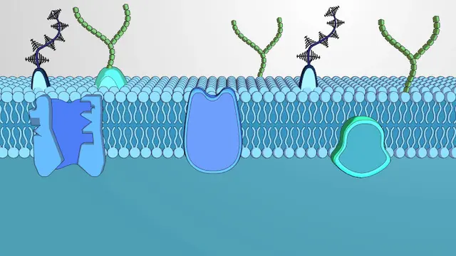 Biology