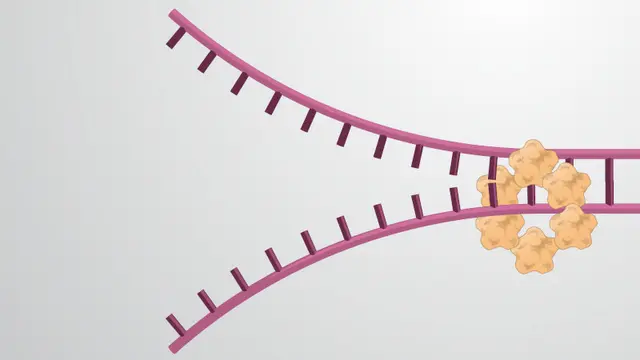 Molecular Biology