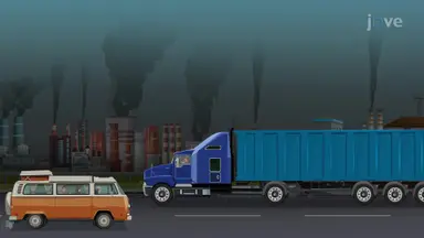 Causes and Effects of Global Warming
