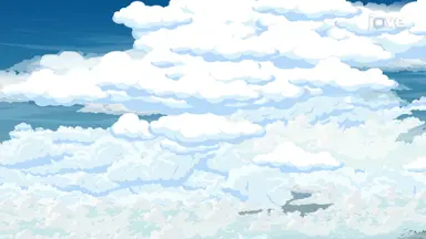 Clouds