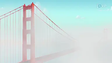 Fog