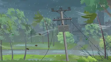 Cyclones