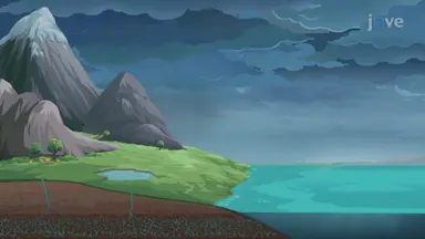 The Water Cycle - I