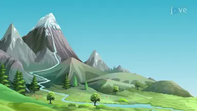 The Water Cycle - II