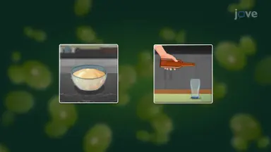 Use of Fungi
