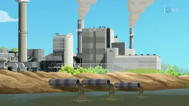 Effects of Water Pollution