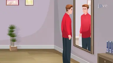 Types of Reflection