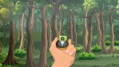 Earth as a Magnet