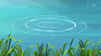 What is Electromagnetism