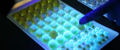 Umweltmikrobiologie