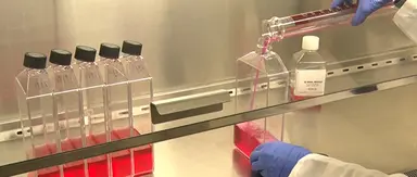 Immunologie
