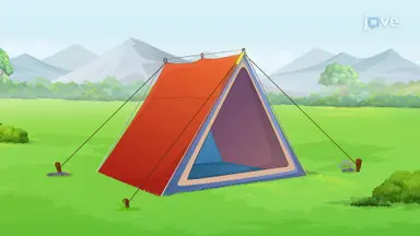 Tetrahedron Volume from Triangle Slices
