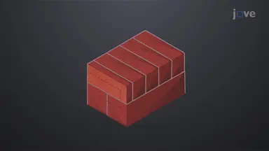 Brick Sizes and Modular Masonry