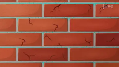 How Brick Quality Affects Masonry Performance