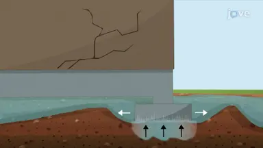 How Buildings Handle Structural Movement