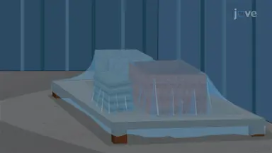 Protecting Mortar During Weather Changes