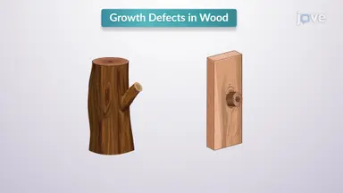 Common Wood Flaws in Lumber