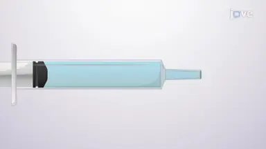 Fluid Flow and Area Changes