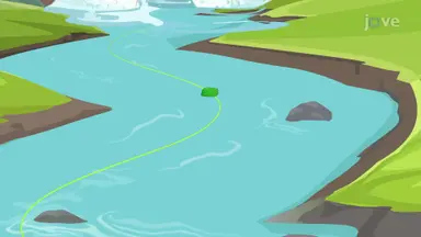 Tracing Fluid Motion: Three Flow Paths