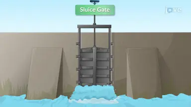 Sluice Gate Water Pressure and Reaction Force