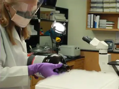Keeping Lab Samples Cold for Safe Storage