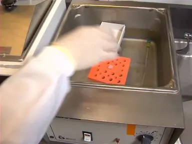 Choosing Lab Heat for Cells and Solutions