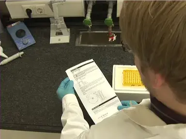 Molecular Cloning in Bacteria