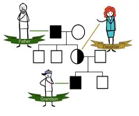 Genetic Variations Linked to Human Disease