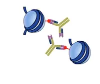 Mapping DNA With Histone Marks