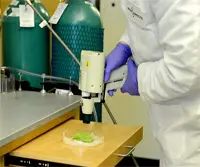 Genetic Engineering Tools and Applications