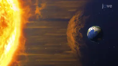 Surface Features of the Sun