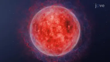 Red Giants and White Dwarfs