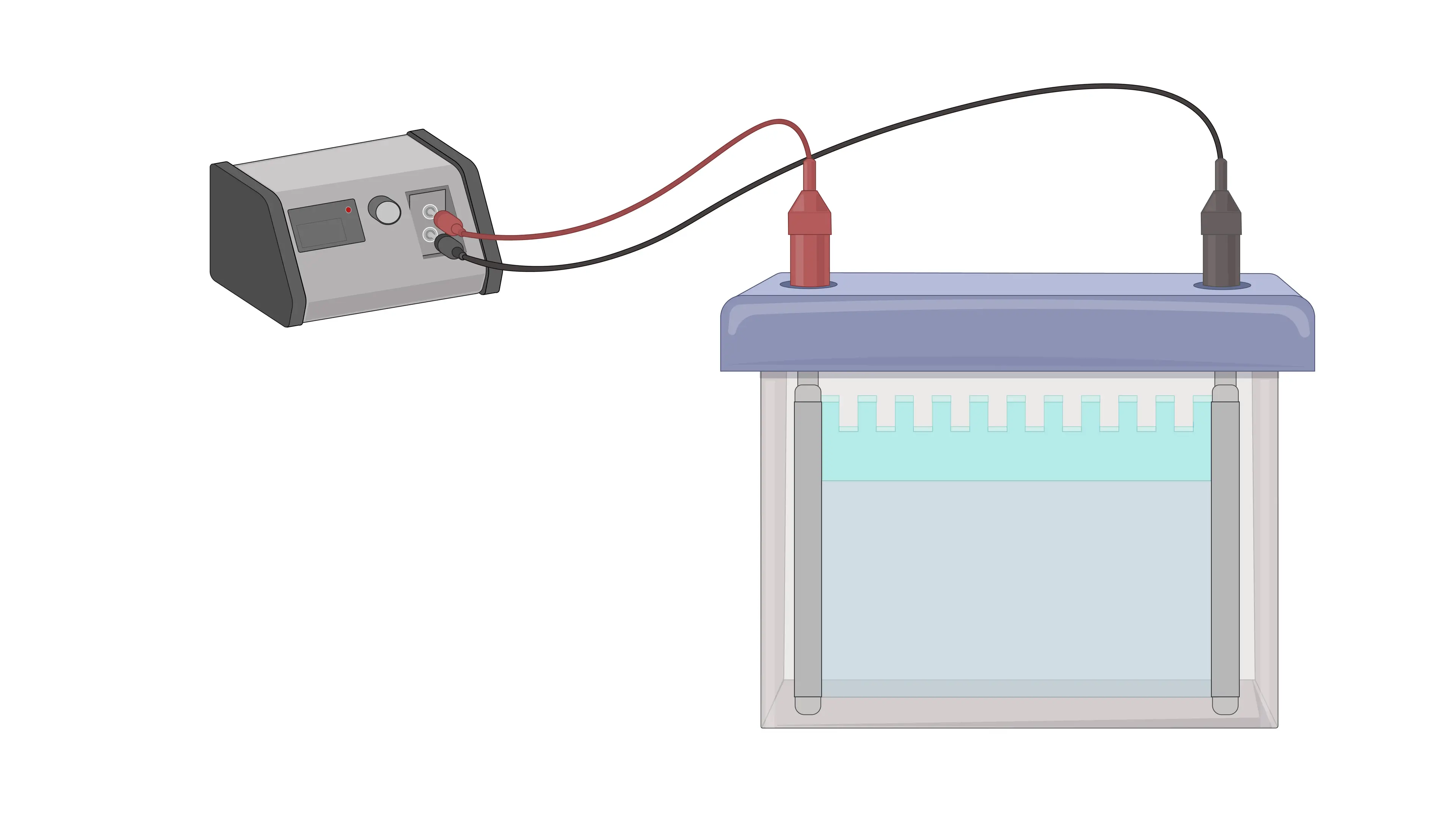 Electrophoresis Techniques