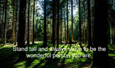 Forest with tall trees and sunlight; motivational quote about personal growth is superimposed.