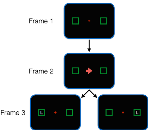 Visual perception process; diagram shows three-frame sequence with focus on central objects and lateral position changes.